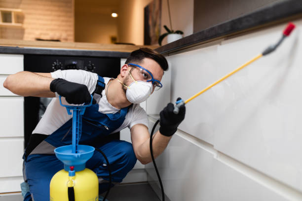 Professional Pest Control in Terrace Park, OH