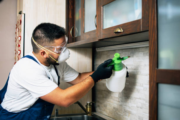 Best Pest Removal Services  in Terrace Park, OH