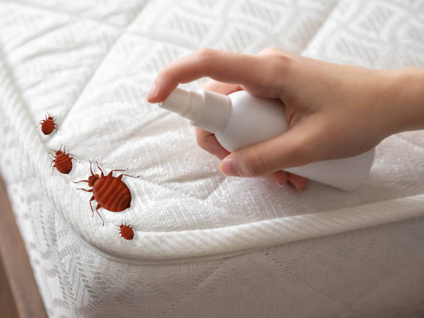 Best Pest Control for Homes  in Terrace Park, OH