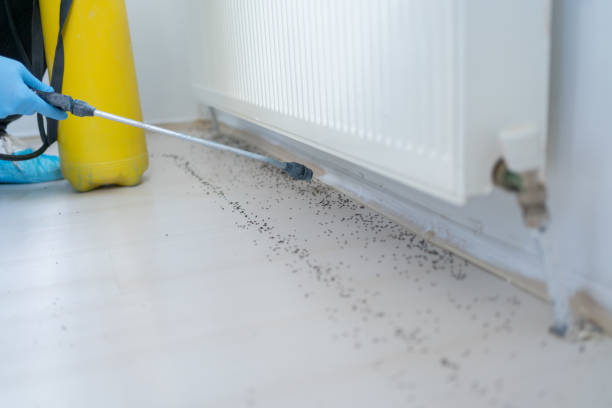 Best Best Pest Control Companies  in Terrace Park, OH