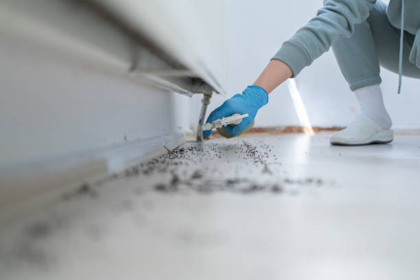 Best Termite Control Services  in Terrace Park, OH